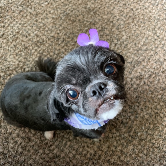 Closet Policies - Picture 2 of 7